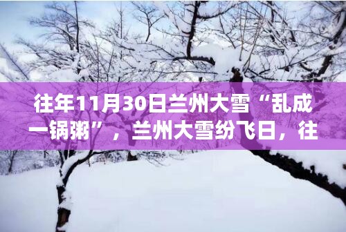 兰州11月30日大雪纷飞的应对之道与城市景象回顾