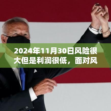 风险与回报的挑战，2024年11月30日任务执行指南与风险评估