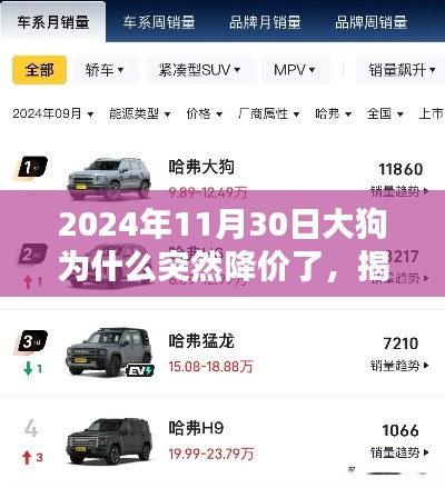 揭秘，大狗价格骤降的背后原因——探究2024年11月30日的降价事件