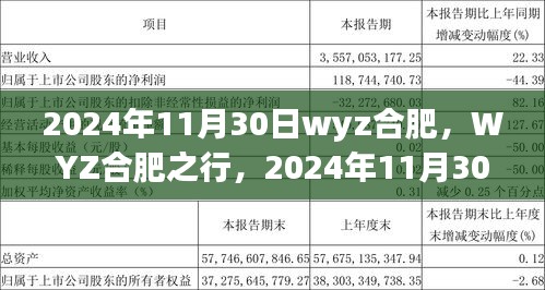 2024年11月30日WYZ合肥之行，活动全攻略，适合初学者与进阶用户