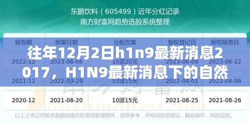 寻找内心平静，H1N9最新消息下的自然之旅，探索奇妙探险之旅