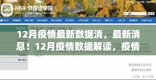 小红书解读，12月疫情最新数据与趋势分析