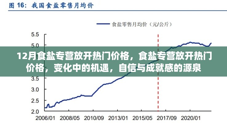 食盐专营放开，热门价格背后的机遇与成就之源