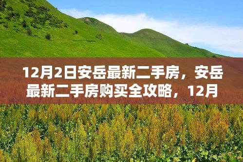 12月2日安岳最新二手房购买指南，全攻略详解，初学者与进阶用户必看