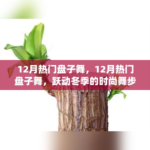 冬季风尚，12月热门盘子舞，跃动时尚舞步