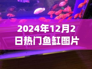 探索未来水族世界的时尚与趋势，热门鱼缸图片展示（2024年12月版）