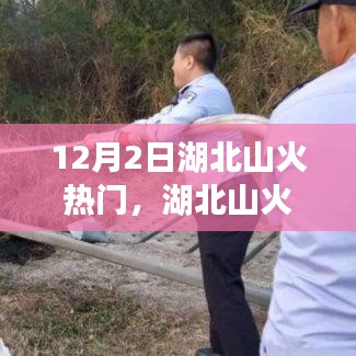 湖北山火事件深度解析与应对策略，12月2日热点聚焦