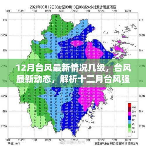 2024年12月3日