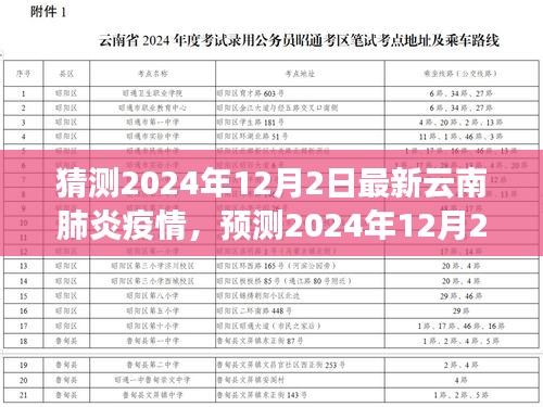 2024年12月2日云南肺炎疫情走向预测，现状分析与未来展望