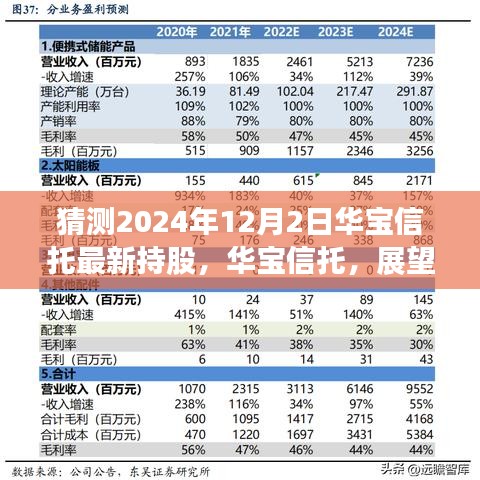 华宝信托最新持股动向展望，揭秘2024年12月2日最新持股布局