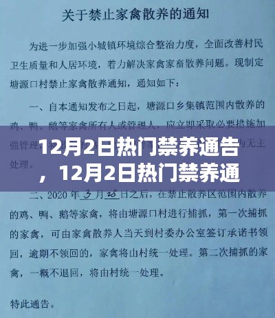 12月2日热门禁养通告实施步骤详解及应对指南