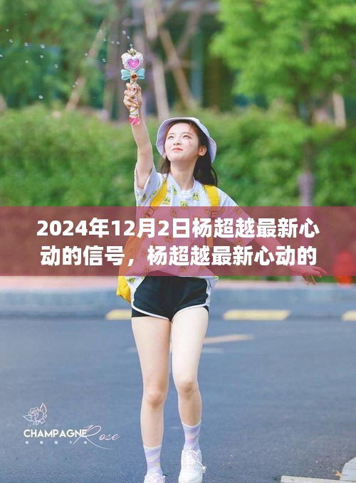 杨超越心动的微妙之旅，2024年12月2日的情感揭秘