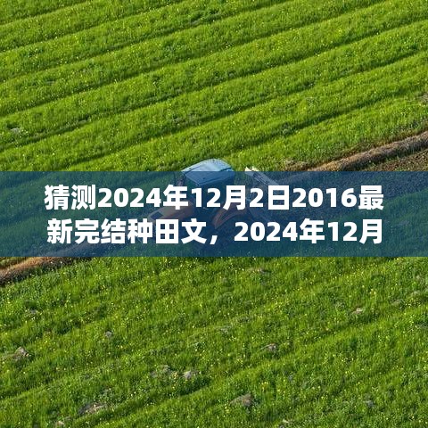 2024年热门完结种田文预测与赏析，经典种田文的未来展望