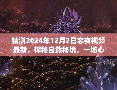 探秘自然秘境，心灵之旅猜想与期待，最新恋夜视频预测（2024年）