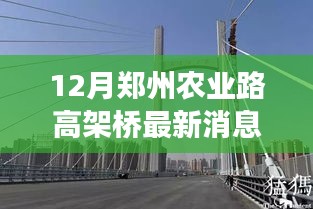 郑州农业路高架桥智能升级，科技重塑城市出行未来