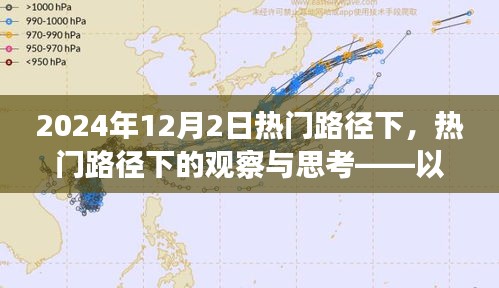 2024年12月2日热门路径观察与深度思考，探寻背后的趋势与启示