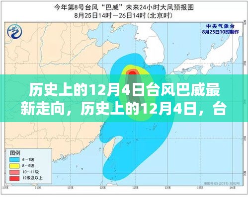 台风巴威在历史上的走向分析，最新动态关注焦点在12月4日