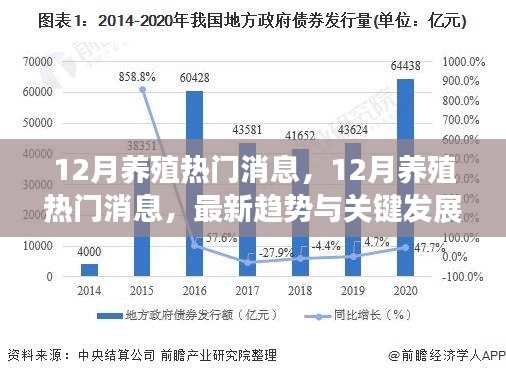 12月养殖热门消息速递，最新趋势与关键发展解析