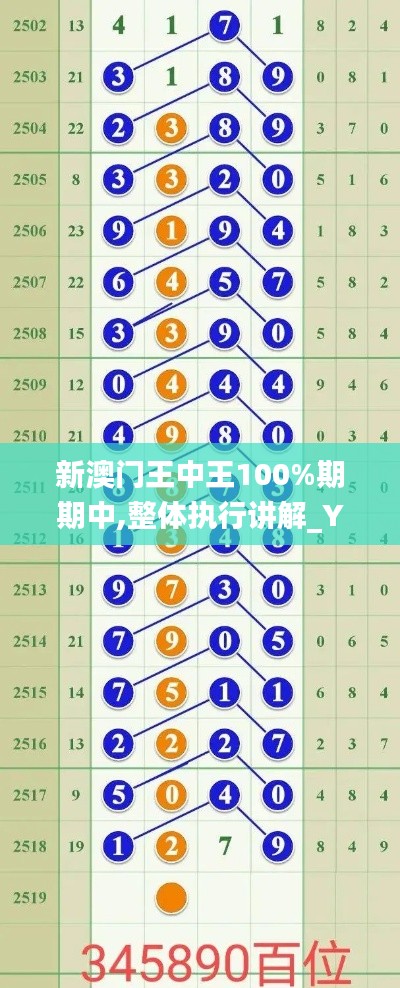 新澳门王中王100%期期中,整体执行讲解_YE版23.275-4