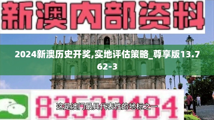 2024新澳历史开奖,实地评估策略_尊享版13.762-3