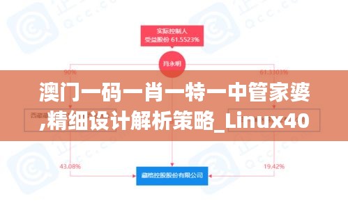 澳门一码一肖一特一中管家婆,精细设计解析策略_Linux40.751-6