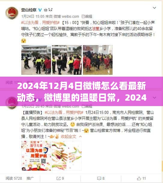 微博见证温暖日常与友情，2024年12月4日的点滴瞬间