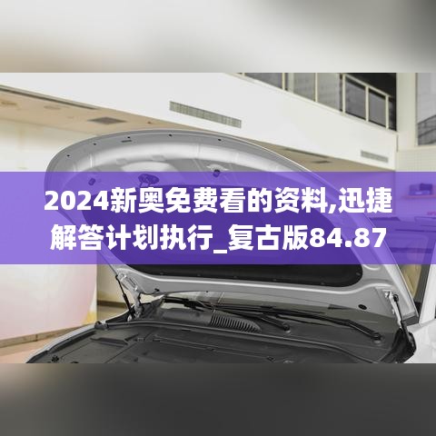 2024新奥免费看的资料,迅捷解答计划执行_复古版84.878-3