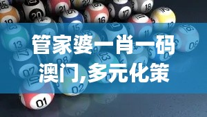 管家婆一肖一码澳门,多元化策略执行_10DM167.899-8