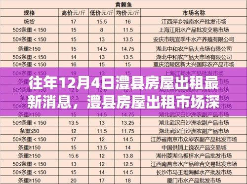 历年12月4日澧县房屋出租市场深度解析与最新消息汇总