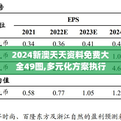 2024新澳天天资料免费大全49图,多元化方案执行策略_T74.759