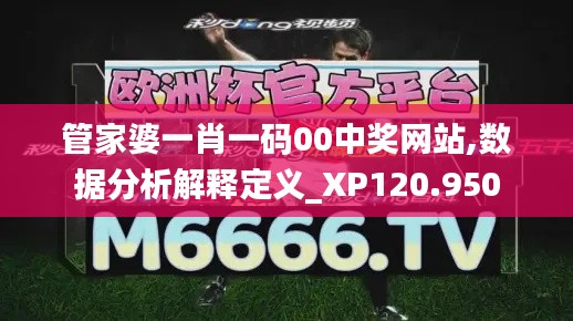 管家婆一肖一码00中奖网站,数据分析解释定义_XP120.950