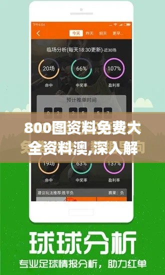 800图资料免费大全资料澳,深入解析数据设计_pro55.987