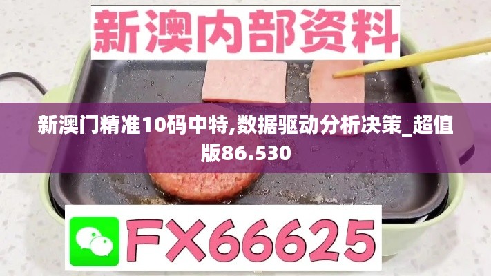 新澳门精准10码中特,数据驱动分析决策_超值版86.530