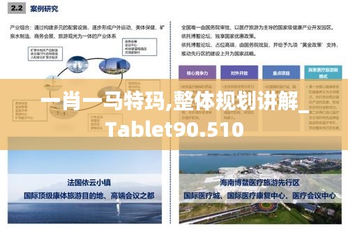 一肖一马特玛,整体规划讲解_Tablet90.510