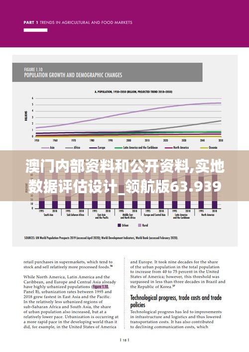 澳门内部资料和公开资料,实地数据评估设计_领航版63.939