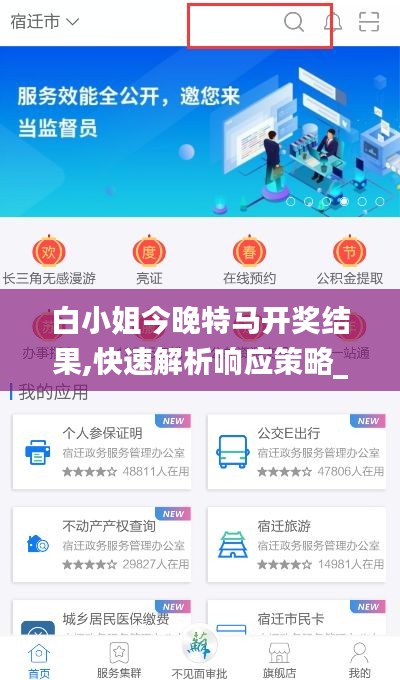 白小姐今晚特马开奖结果,快速解析响应策略_tool9.393