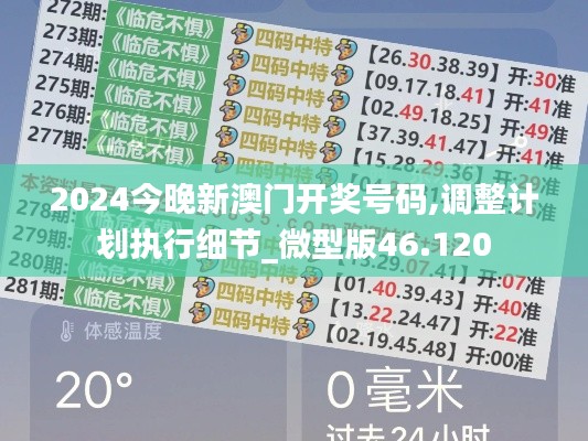 2024今晚新澳门开奖号码,调整计划执行细节_微型版46.120