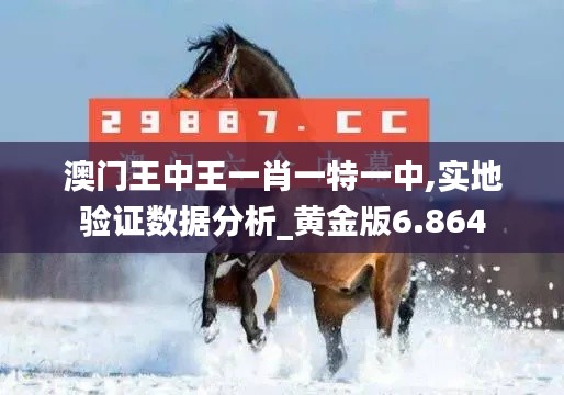 澳门王中王一肖一特一中,实地验证数据分析_黄金版6.864