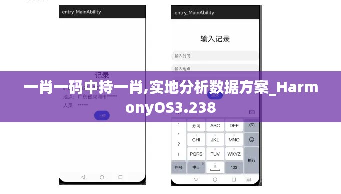 一肖一码中持一肖,实地分析数据方案_HarmonyOS3.238