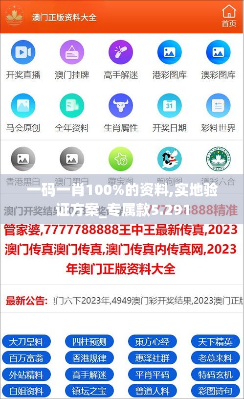 一码一肖100%的资料,实地验证方案_专属款5.291