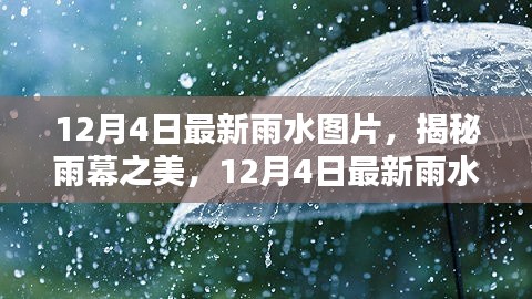 揭秘雨幕之美，深度解析12月4日最新雨水图片