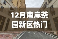 2024年12月5日 第3页