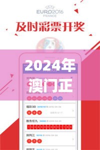 2024年12月6日 第66页