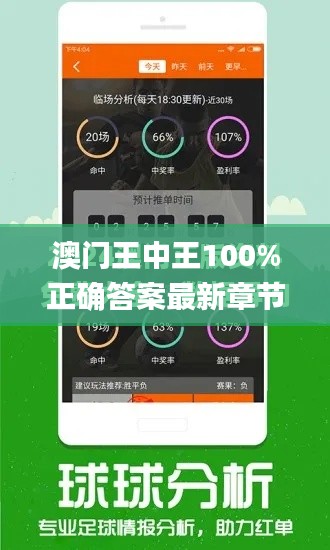 澳门王中王100%正确答案最新章节,实地评估策略数据_游戏版7.905