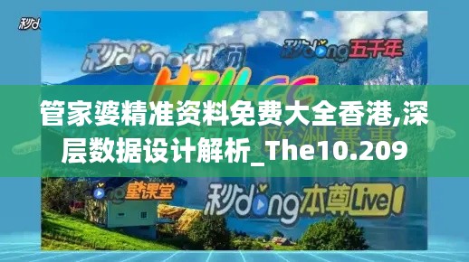 管家婆精准资料免费大全香港,深层数据设计解析_The10.209