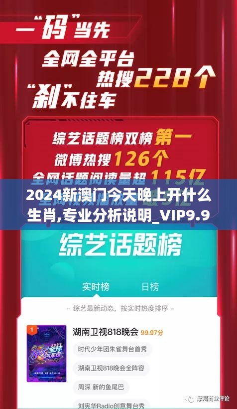 2024新澳门今天晚上开什么生肖,专业分析说明_VIP9.988