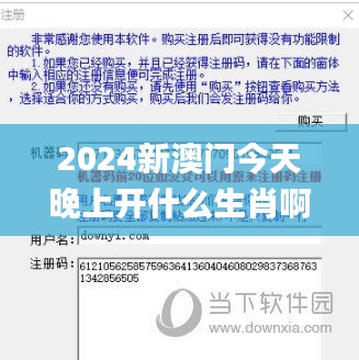 2024新澳门今天晚上开什么生肖啊,数据驱动分析解析_专业版1.884