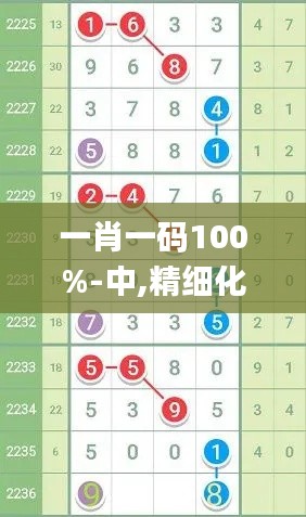 一肖一码100%-中,精细化计划执行_eShop19.857