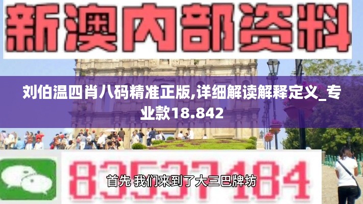 刘伯温四肖八码精准正版,详细解读解释定义_专业款18.842