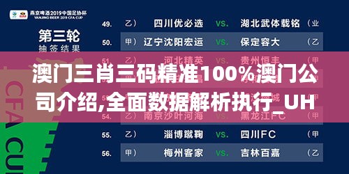 澳门三肖三码精准100%澳门公司介绍,全面数据解析执行_UHD款7.999